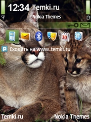 Пума с котенком для Nokia E90