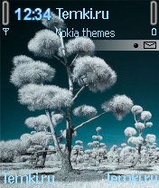 Вечная зима для Nokia 3230