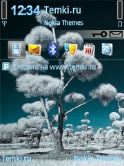Вечная зима для Nokia 6790 Slide
