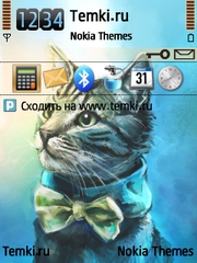 Кот для Nokia E5-00