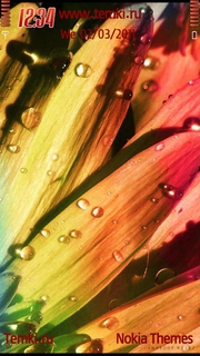 Радужный цветок для Nokia X6