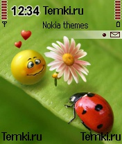 Цветочек для Nokia 6620