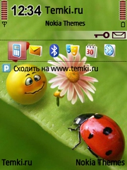 Цветочек для Nokia X5-01
