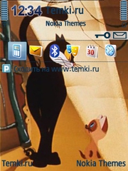 Черный кот для Nokia 6790 Slide