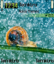 Улитка для Nokia N70