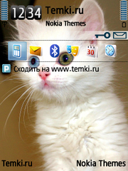 Котёнок для Nokia X5-01