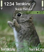 Кролик для Nokia 6260
