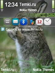 Кролик для Nokia 6790 Slide