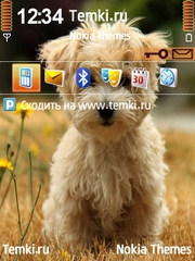 Собачонок для Nokia 6760 Slide