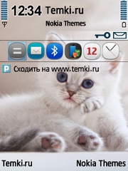 Котеночек для Nokia E55