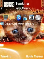 Пичалька для Nokia E5-00