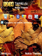Листики для Nokia 6124 Classic