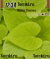 Листья для Nokia N90
