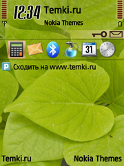 Листья для Nokia 6220 classic