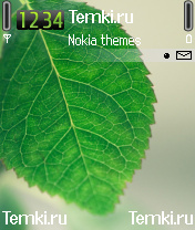 Лист для Nokia 6630