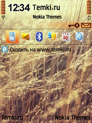 Поле для Nokia 6760 Slide