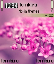 Розовые Цветы для Nokia 6638