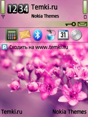 Розовые Цветы для Nokia E66