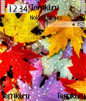 Разноцветная Листва для Nokia 6670