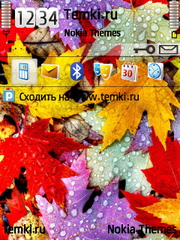 Разноцветная Листва для Nokia E5-00