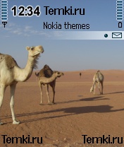 Верблюжатина для Nokia 7610