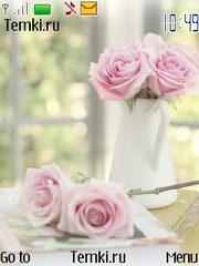 Розовые розы для Nokia 6260 slide