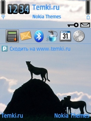 Прайд для Nokia 6760 Slide