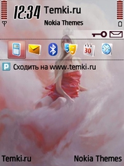 Принцесса для Nokia 6730 classic