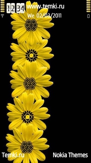 Желтые цветы для Nokia Oro