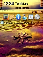Морская звезда для Nokia N95
