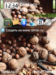 Орешки для Nokia 6730 classic