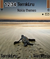 Черепашка для Nokia N72