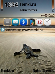 Черепашка для Nokia N96-3