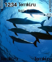Дельфины Атлантики для Nokia N90