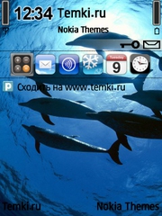 Дельфины Атлантики для Nokia C5-00 5MP