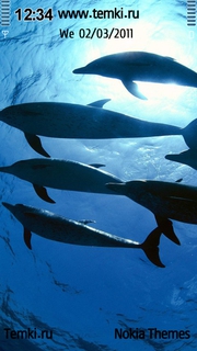 Дельфины Атлантики для Sony Ericsson Vivaz