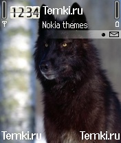 Черный волк для Nokia 6600