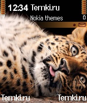 С ума схожу для Nokia N90