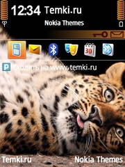С ума схожу для Nokia N73