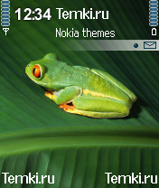 Лягушка для Nokia 6680
