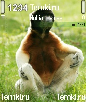 Зверь для Nokia 6680