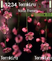 Цветочки для Nokia N72