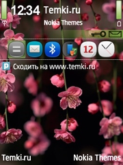 Цветочки для Nokia 6700 Slide