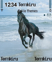 Лошадь для Nokia N70