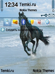 Лошадь для Nokia N75