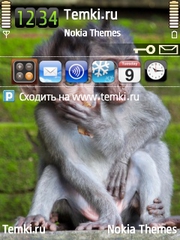 Макаки для Nokia N96