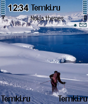 Лыжники для Nokia 6600