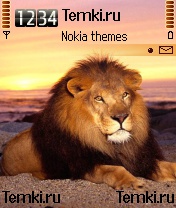 Лев для Nokia 6682