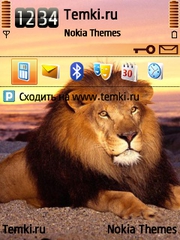 Лев для Nokia N96