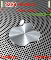 Железный Эппл для Samsung SGH-D730
